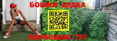 индика Ангарск
