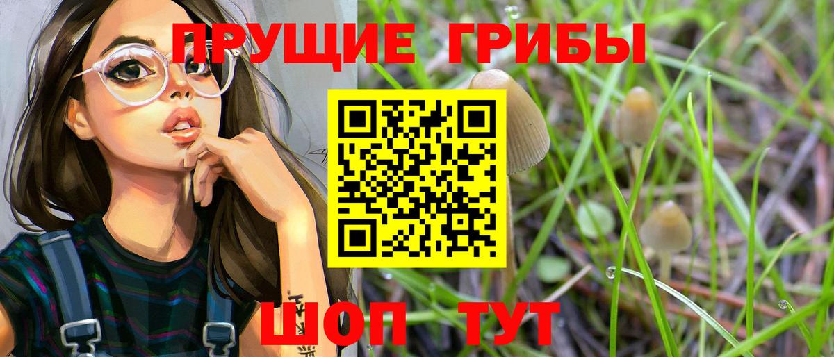 Новодвинск  Галлюциногенные грибы прущие грибы  Вход с VPN 